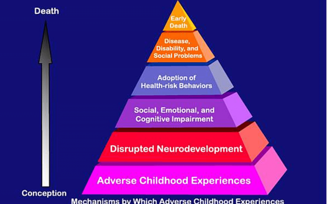 Adverse Childhood Experiences Study (A.C.E.s)